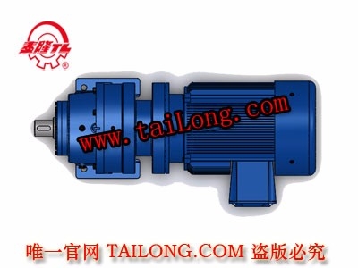 BHWD 臥式單級專用電機直聯(lián)型化工部擺線針輪減速器（機）