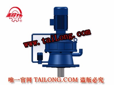 TBLEY 新型立式雙級普通電機(jī)直聯(lián)型擺線針輪減速器（機(jī)）